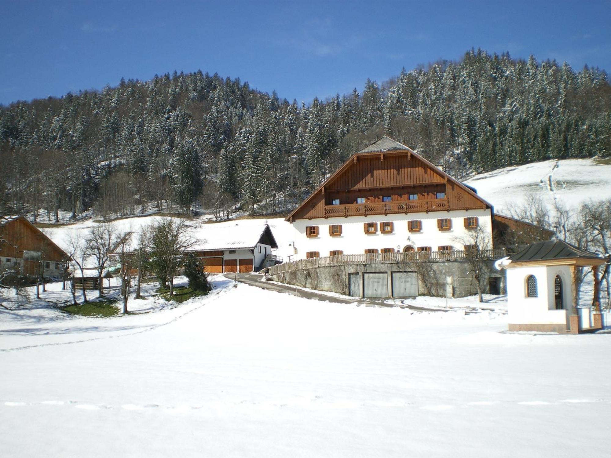 Russbachbauer Villa Sankt Wolfgang im Salzkammergut Exterior photo